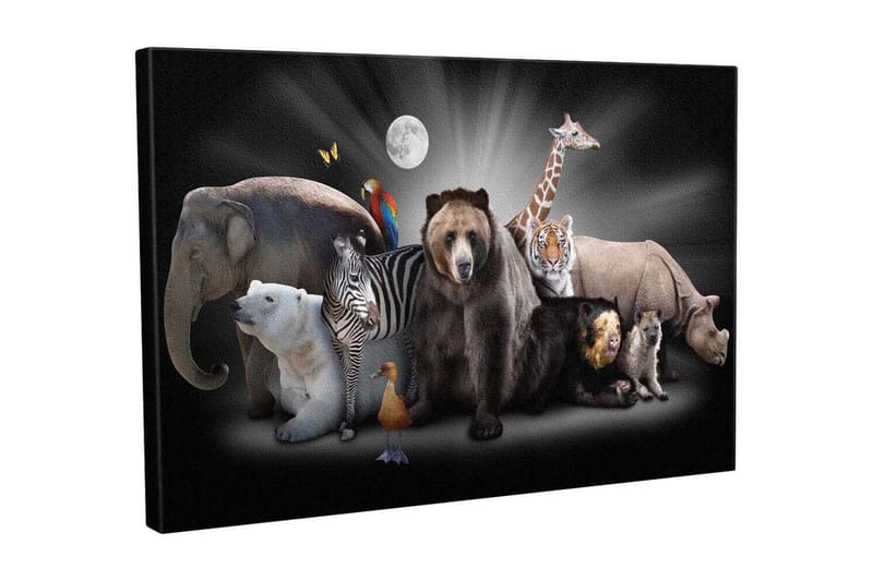 Dekorativ Canvastavla 30x40 cm - Flerfärgad - Inredning & dekor - Tavlor & konst - Canvastavla