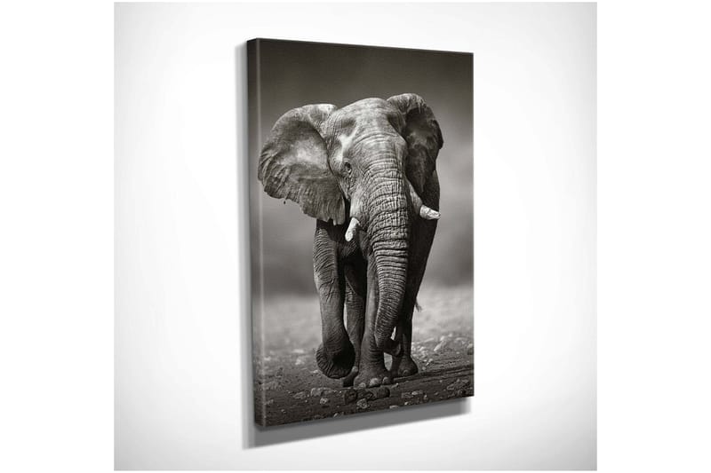 Dekorativ Canvastavla 30x40 cm - Flerfärgad - Inredning & dekor - Tavlor & konst - Canvastavla