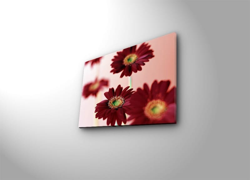 Dekorativ Canvastavla 30x40 cm, Flerfärgad