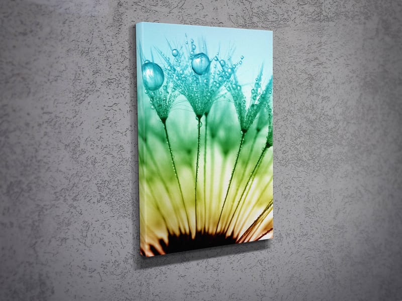 Dekorativ Canvastavla 30x40 cm - Flerfärgad - Inredning & dekor - Tavlor & konst - Canvastavla