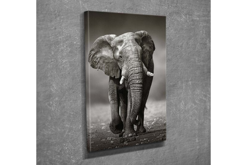 Dekorativ Canvastavla 30x40 cm - Flerfärgad - Inredning & dekor - Tavlor & konst - Canvastavla