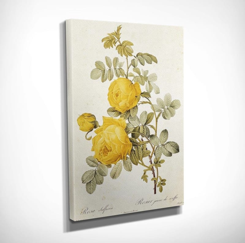 Dekorativ Canvastavla 30x40 cm - Flerfärgad - Inredning & dekor - Tavlor & konst - Canvastavla