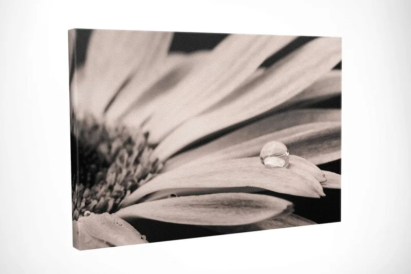 Dekorativ Canvastavla 30x40 cm - Flerfärgad - Inredning & dekor - Tavlor & konst - Canvastavla