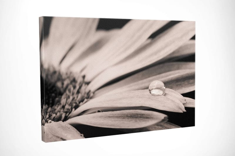 Dekorativ Canvastavla 30x40 cm - Flerfärgad - Inredning & dekor - Tavlor & konst - Canvastavla