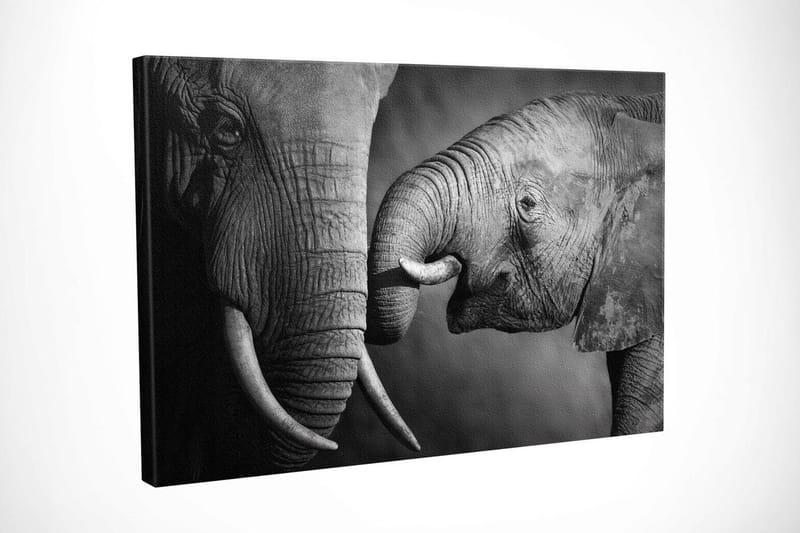 Dekorativ Canvastavla 30x40 cm - Flerfärgad - Inredning & dekor - Tavlor & konst - Canvastavla