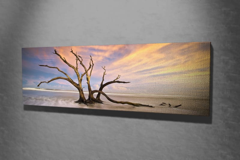Dekorativ Canvastavla 30x80 cm - Flerfärgad - Inredning & dekor - Tavlor & konst - Canvastavla