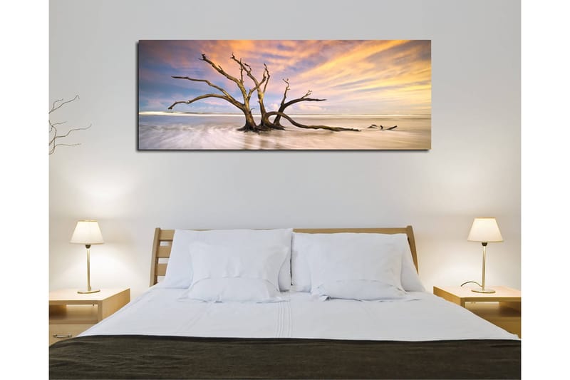 Dekorativ Canvastavla 30x80 cm - Flerfärgad - Inredning & dekor - Tavlor & konst - Canvastavla