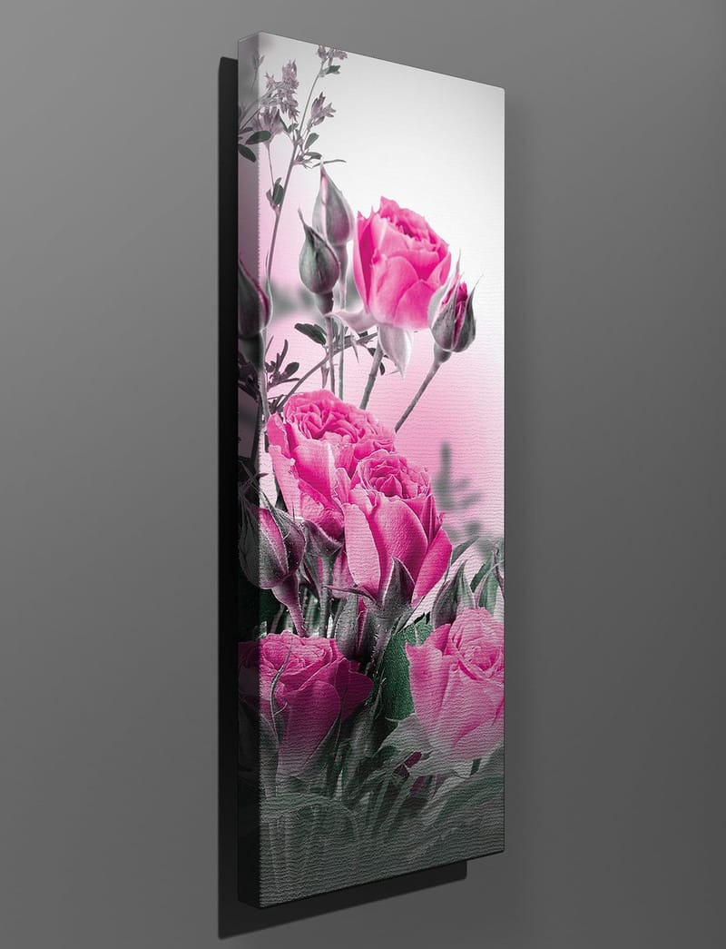 Dekorativ Canvastavla 30x80 cm - Flerfärgad - Inredning & dekor - Tavlor & konst - Canvastavla