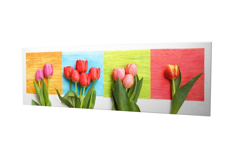 DEKORATIV CANVASTAVLA 30x80 cm Flerf�ärgad - Inredning & dekor - Tavlor & konst - Canvastavla