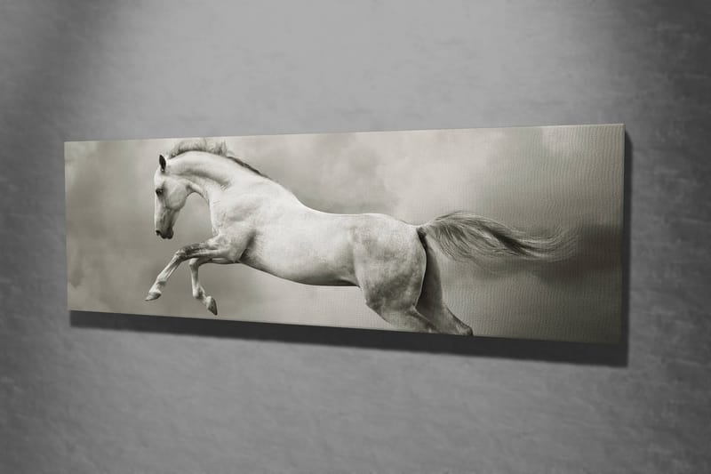 Dekorativ Canvastavla 30x80 cm - Flerfärgad - Inredning & dekor - Tavlor & konst - Canvastavla