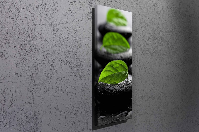 Dekorativ Canvastavla 30x80 cm - Flerfärgad - Inredning & dekor - Tavlor & konst - Canvastavla