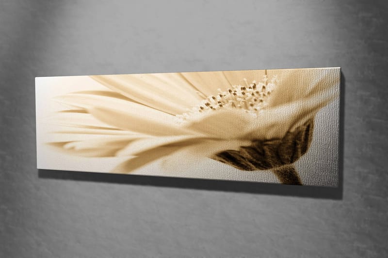 Dekorativ Canvastavla 30x80 cm - Flerfärgad - Inredning & dekor - Tavlor & konst - Canvastavla