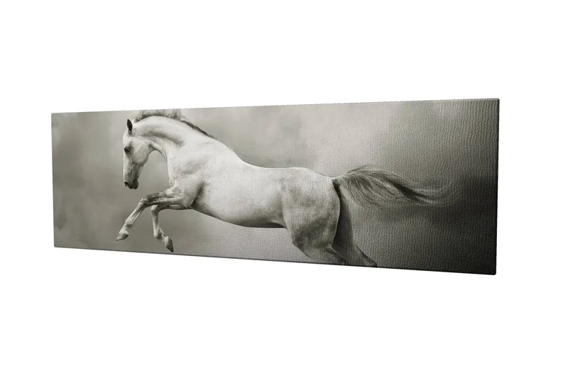 Dekorativ Canvastavla 30x80 cm - Flerfärgad - Inredning & dekor - Tavlor & konst - Canvastavla