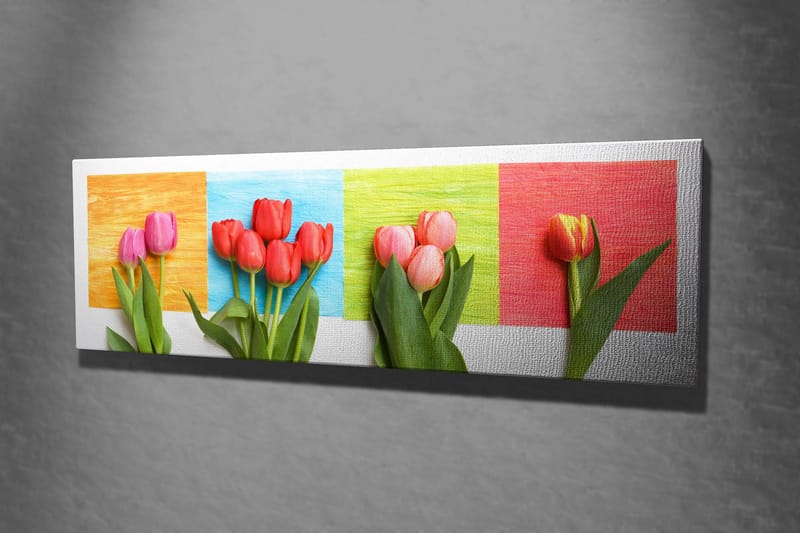 Dekorativ Canvastavla 30x80 cm - Flerfärgad - Inredning & dekor - Tavlor & konst - Canvastavla