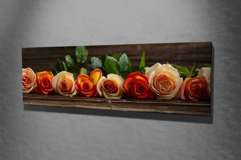 Dekorativ Canvastavla 30x80 cm - Flerfärgad - Inredning & dekor - Tavlor & konst - Canvastavla