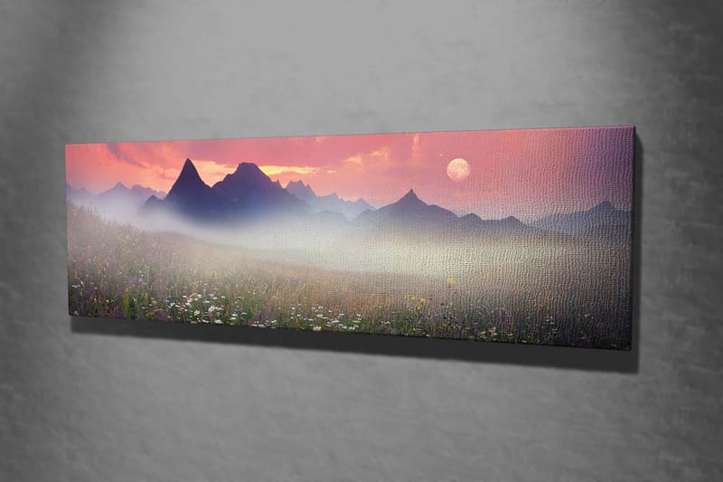 Dekorativ Canvastavla 30x80 cm - Flerfärgad - Inredning & dekor - Tavlor & konst - Canvastavla