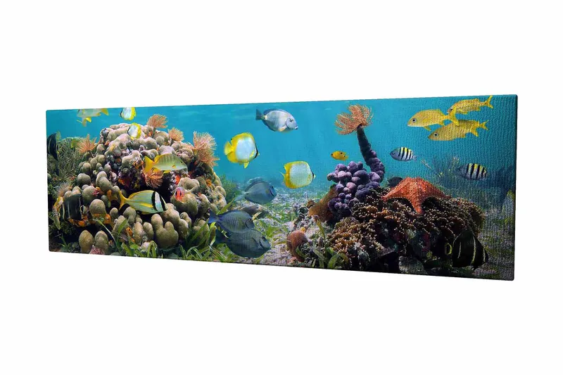 Dekorativ Canvastavla 30x80 cm, Flerfärgad