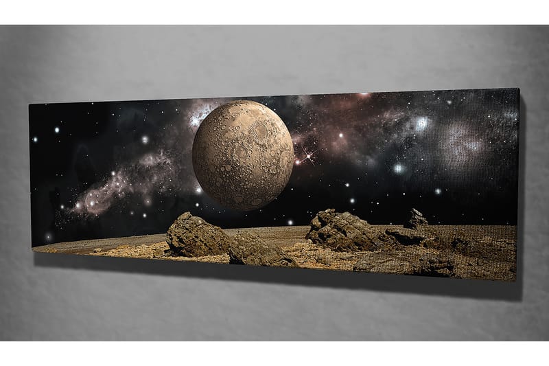 Dekorativ Canvastavla 30x80 cm - Flerfärgad - Inredning & dekor - Tavlor & konst - Canvastavla