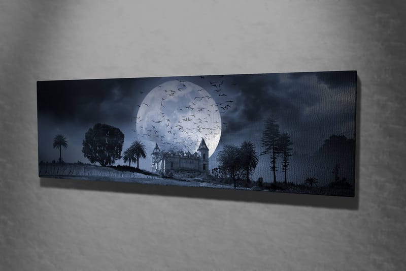 Dekorativ Canvastavla 30x80 cm - Flerfärgad - Inredning & dekor - Tavlor & konst - Canvastavla