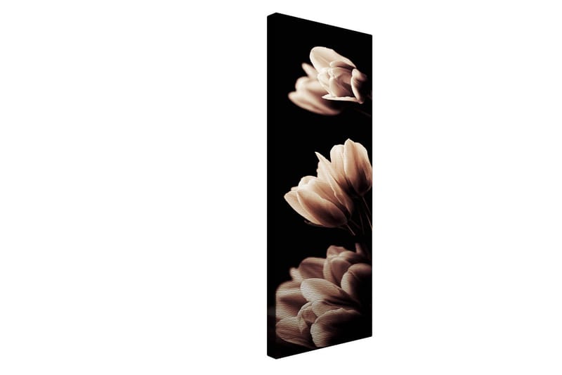 Dekorativ Canvastavla 30x80 cm - Flerfärgad - Inredning & dekor - Tavlor & konst - Canvastavla