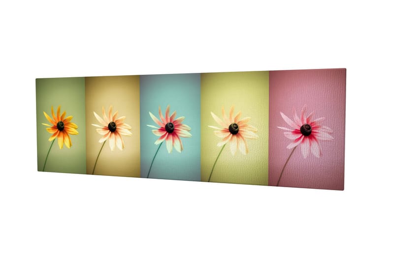 Dekorativ Canvastavla 30x80 cm - Flerfärgad - Inredning & dekor - Tavlor & konst - Canvastavla