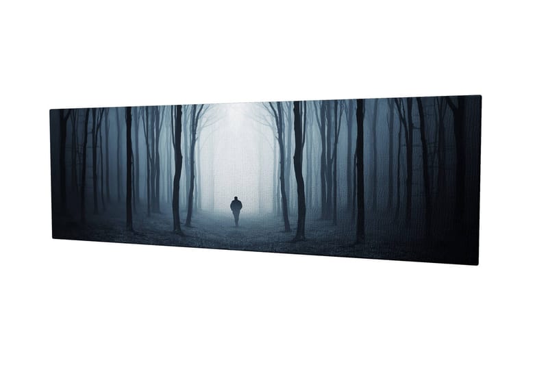 Dekorativ Canvastavla 30x80 cm - Flerfärgad - Inredning & dekor - Tavlor & konst - Canvastavla