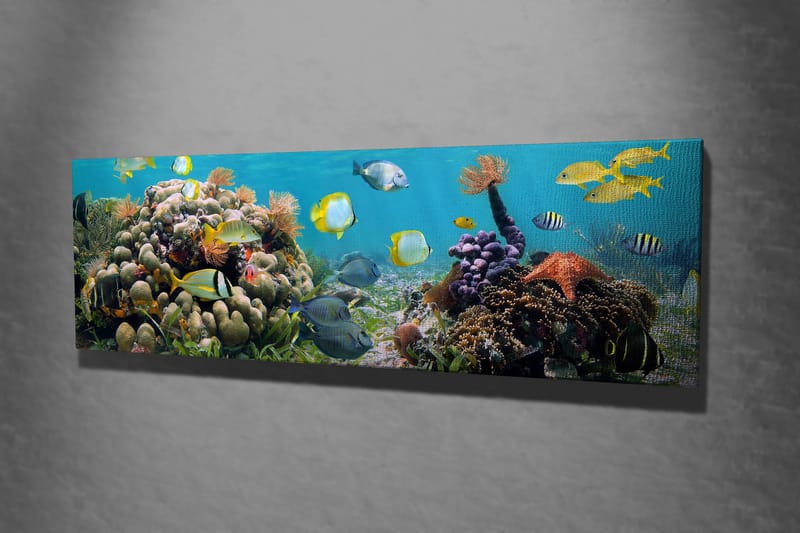 Dekorativ Canvastavla 30x80 cm - Flerfärgad - Inredning & dekor - Tavlor & konst - Canvastavla