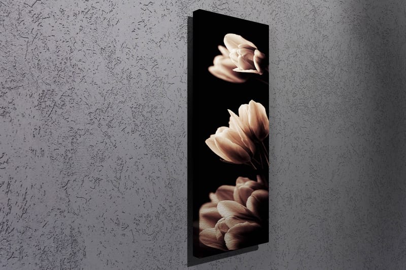 Dekorativ Canvastavla 30x80 cm - Flerfärgad - Inredning & dekor - Tavlor & konst - Canvastavla