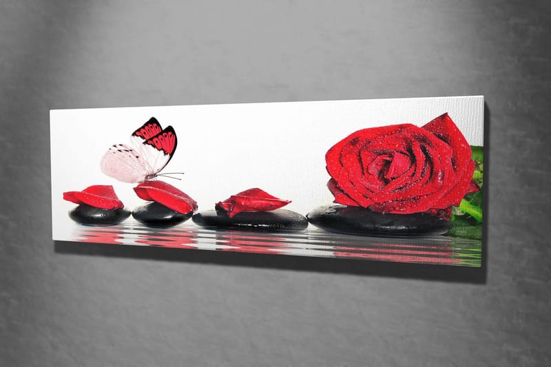 Dekorativ Canvastavla 30x80 cm - Flerfärgad - Inredning & dekor - Tavlor & konst - Canvastavla