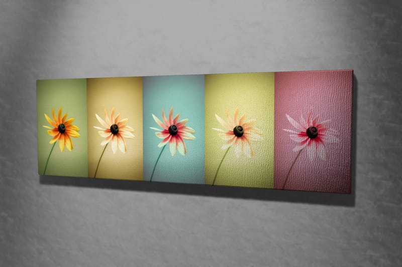 Dekorativ Canvastavla 30x80 cm - Flerfärgad - Inredning & dekor - Tavlor & konst - Canvastavla