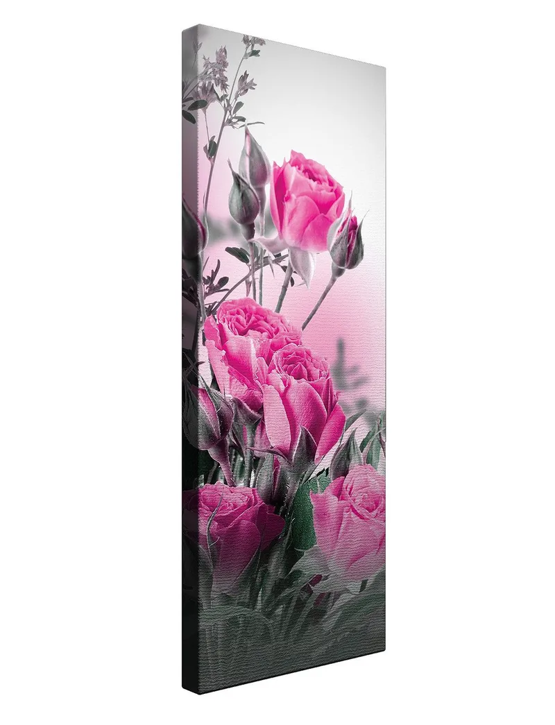 Dekorativ Canvastavla 30x80 cm - Flerfärgad - Inredning & dekor - Tavlor & konst - Canvastavla