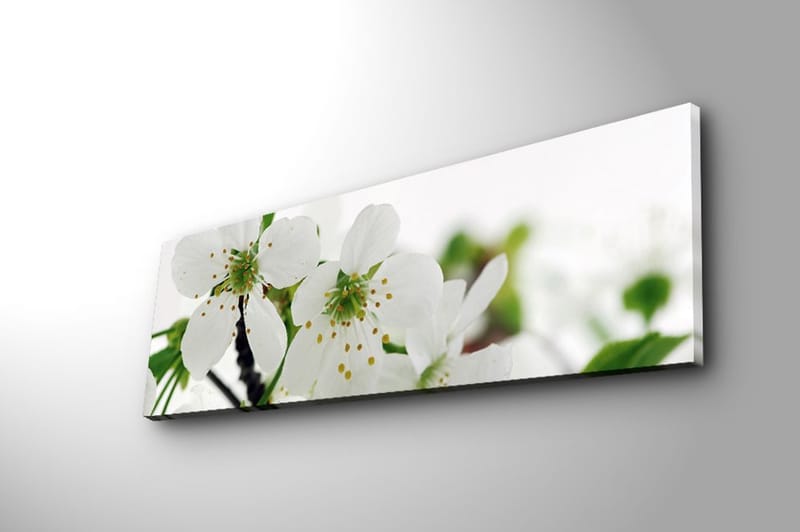 Dekorativ Canvastavla 30x90 cm - Flerfärgad - Inredning & dekor - Tavlor & konst - Canvastavla