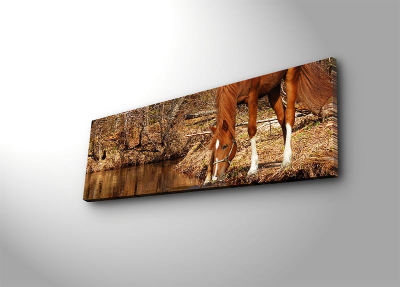 DEKORATIV CANVASTAVLA 30x90 cm Flerfärgad - Inredning & dekor - Tavlor & konst - Canvastavla