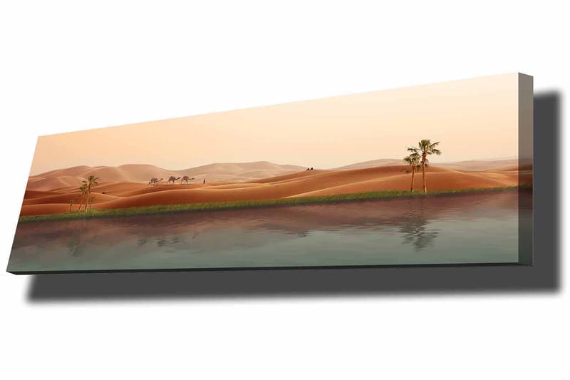 DEKORATIV CANVASTAVLA 30x90 cm Flerfärgad - Inredning & dekor - Tavlor & konst - Canvastavla