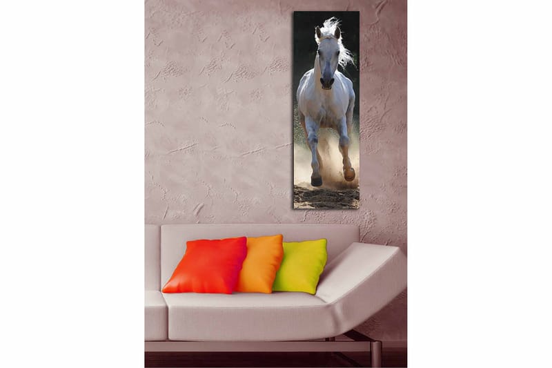 Dekorativ Canvastavla 30x90 cm - Flerfärgad - Inredning & dekor - Tavlor & konst - Canvastavla