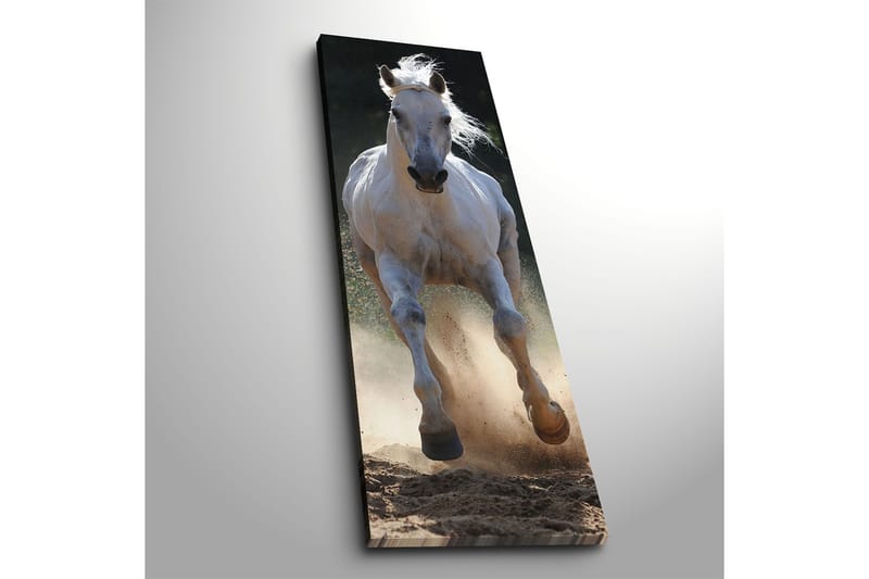 Dekorativ Canvastavla 30x90 cm - Flerfärgad - Inredning & dekor - Tavlor & konst - Canvastavla