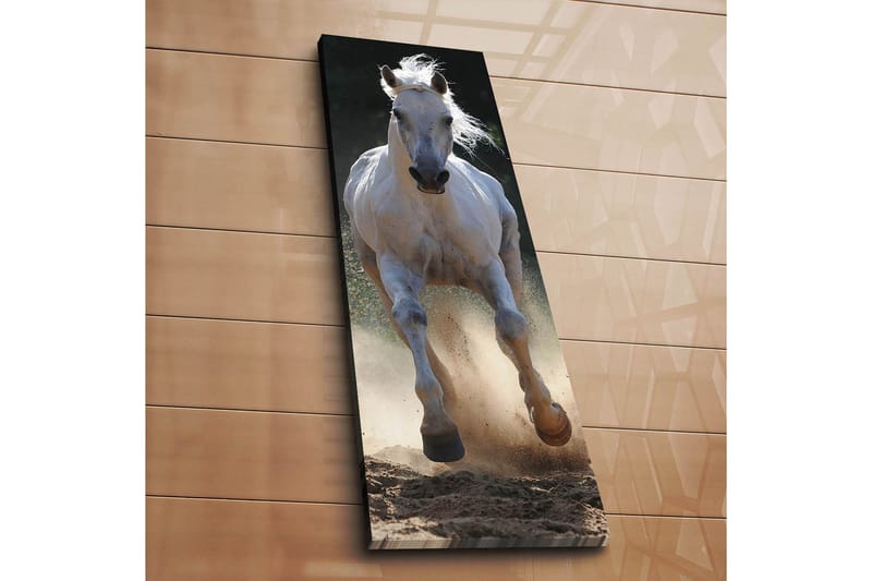 Dekorativ Canvastavla 30x90 cm - Flerfärgad - Inredning & dekor - Tavlor & konst - Canvastavla