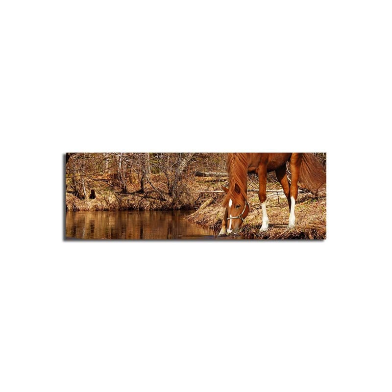 Dekorativ Canvastavla 30x90 cm - Flerfärgad - Inredning & dekor - Tavlor & konst - Canvastavla