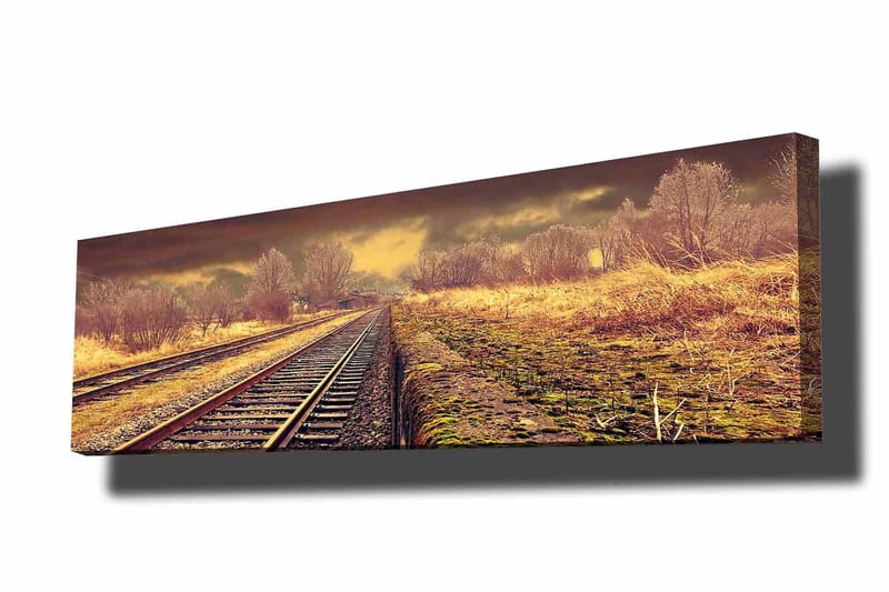 Dekorativ Canvastavla 30x90 cm, Flerfärgad