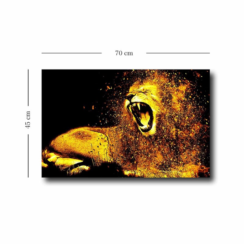 DEKORATIV CANVASTAVLA 45x70 cm Flerf�ärgad - Inredning & dekor - Tavlor & konst - Canvastavla