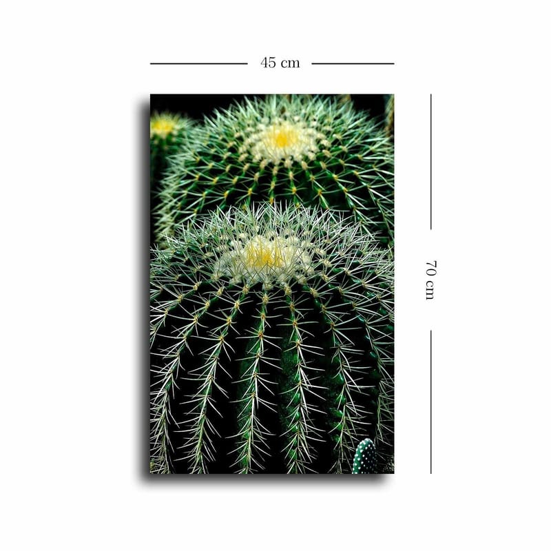 Dekorativ Canvastavla 45x70 cm - Flerfärgad - Inredning & dekor - Tavlor & konst - Canvastavla