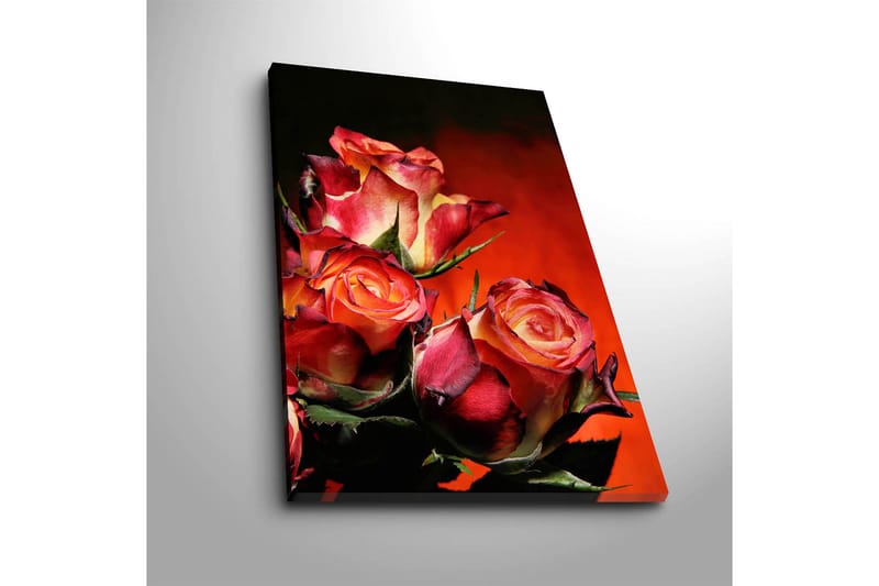 Dekorativ Canvastavla 45x70 cm - Flerfärgad - Inredning & dekor - Tavlor & konst - Canvastavla