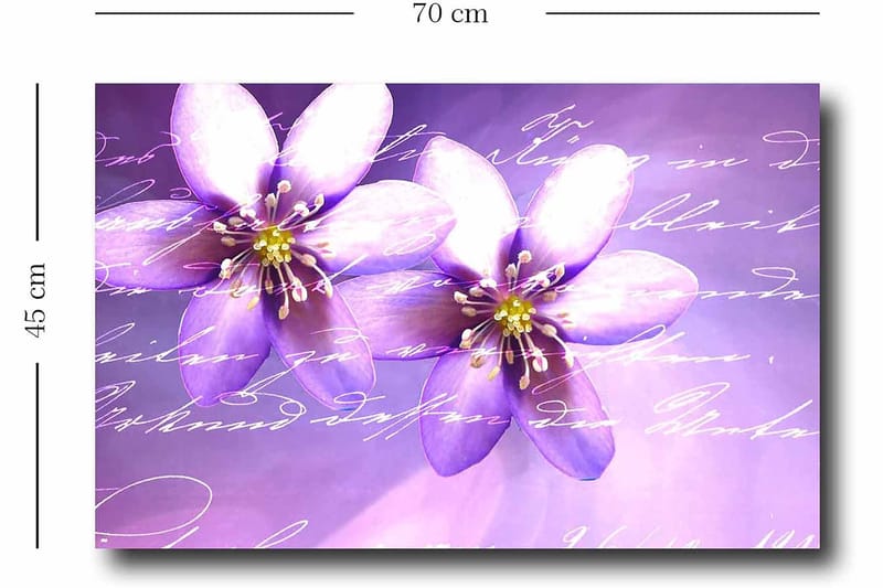 Dekorativ Canvastavla 45x70 cm - Flerfärgad - Inredning & dekor - Tavlor & konst - Canvastavla