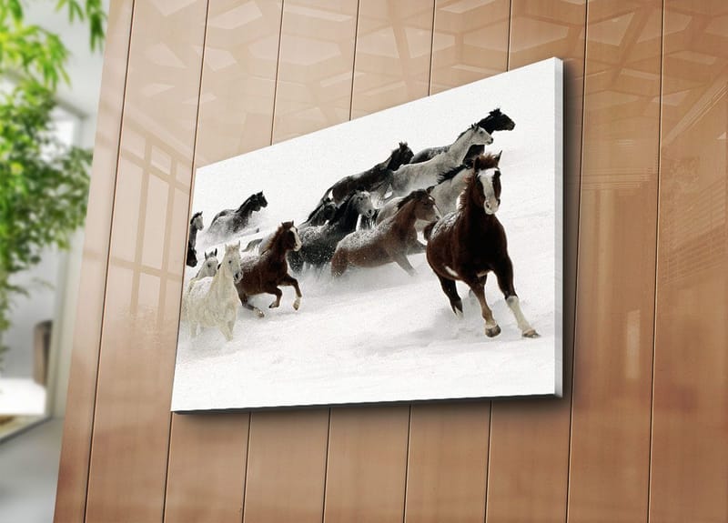 Dekorativ Canvastavla 45x70 cm - Flerfärgad - Inredning & dekor - Tavlor & konst - Canvastavla