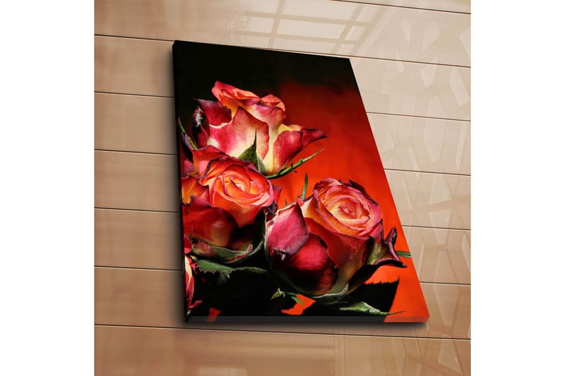 Dekorativ Canvastavla 45x70 cm - Flerfärgad - Inredning & dekor - Tavlor & konst - Canvastavla