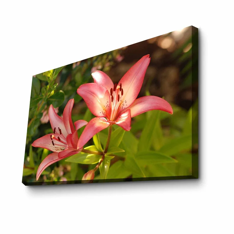 Dekorativ Canvastavla 45x70 cm, Flerfärgad