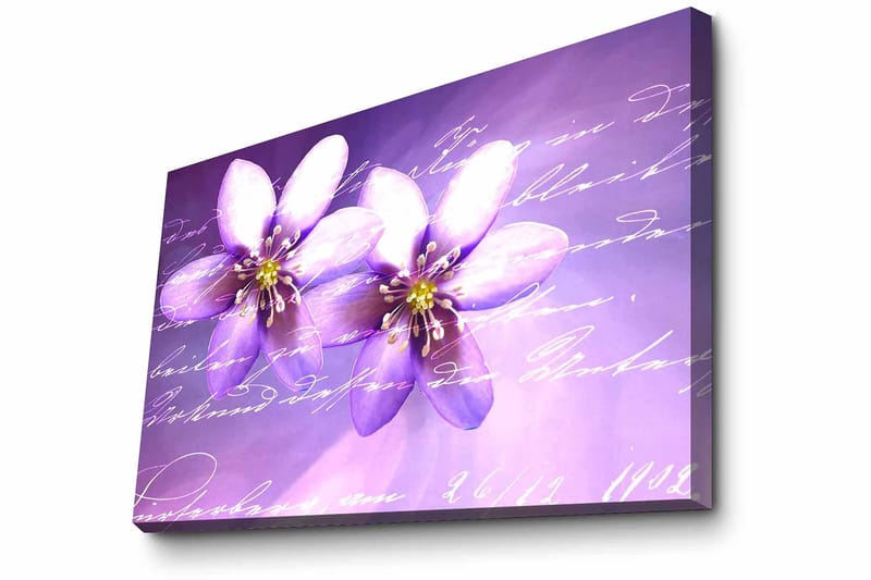 Dekorativ Canvastavla 45x70 cm - Flerfärgad - Inredning & dekor - Tavlor & konst - Canvastavla