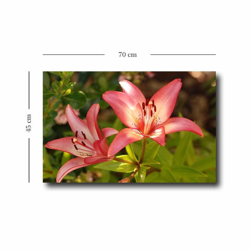 Dekorativ Canvastavla 45x70 cm - Flerfärgad - Inredning & dekor - Tavlor & konst - Canvastavla