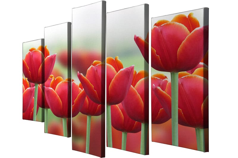 DEKORATIV CANVASTAVLA 5-Delar 70x20 cm Flerfärgad - Inredning & dekor - Tavlor & konst - Canvastavla