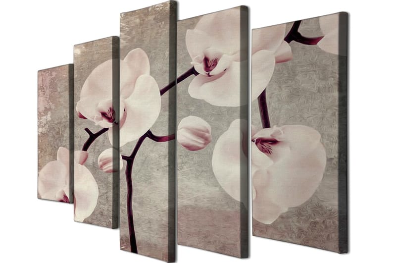 DEKORATIV CANVASTAVLA 5-Delar 70x20 cm Flerfärgad - Inredning & dekor - Tavlor & konst - Canvastavla